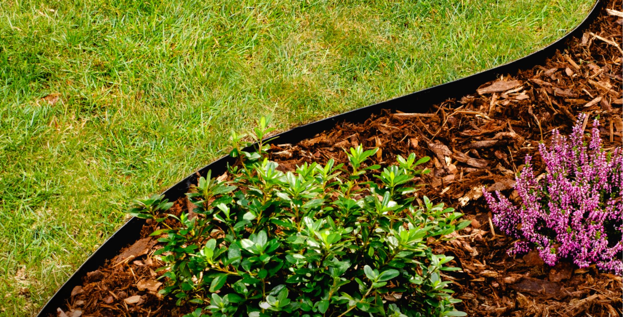 profi obrubník banner (1)